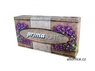 Papírové kapesníčky v krabičce PrimaSoft 100 ks 